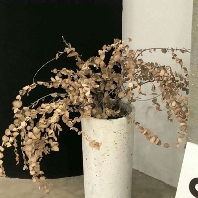 兽设角色性格塑造Furry群